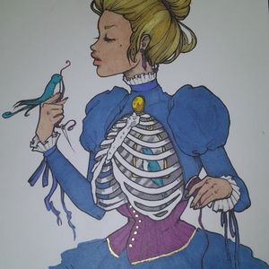 Blue Jay Art Print